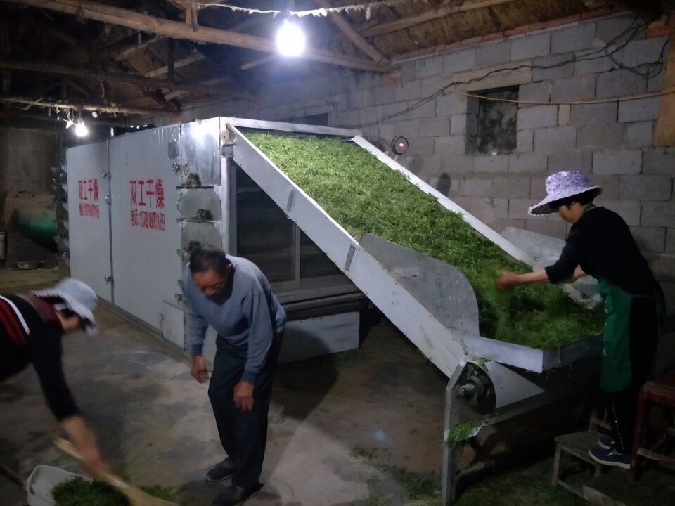 茶葉網(wǎng)帶烘干機